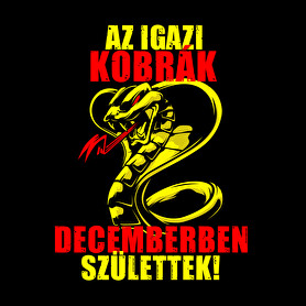 Decemberi Kobra-Női póló