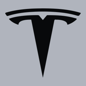 TESLA logo fekete-Férfi kapucnis pulóver