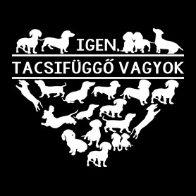 Tacsifüggő-Férfi kapucnis pulóver