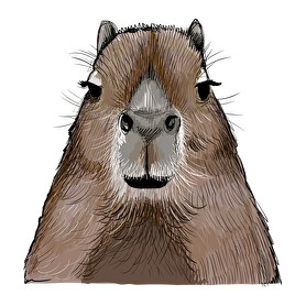 Capybara-Férfi pulóver