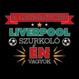 Liverpool szurkoló-Férfi pulóver