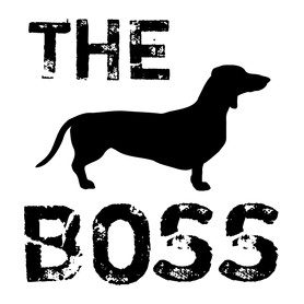 The boss-Férfi pulóver