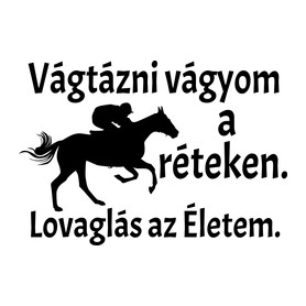 Lovaglás az életem-Férfi pulóver