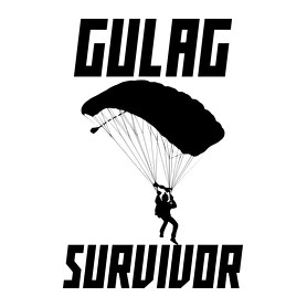 Warzone: Gulag Survivor-Férfi pulóver