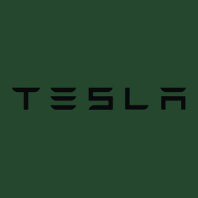 TESLA felirat-Férfi pulóver