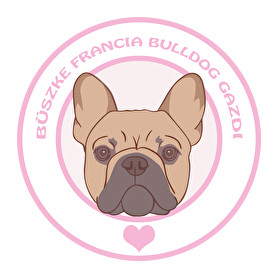 Büszke gazdi: Francia bulldog-Férfi pulóver