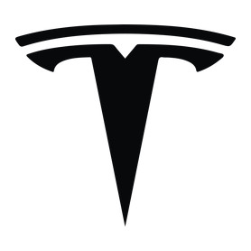 TESLA logo fekete-Női kapucnis pulóver