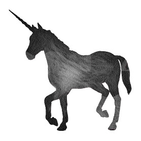 Unicorn-Női kapucnis pulóver