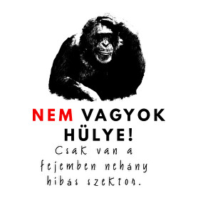 nem vagyok hülye-Gyerek kapucnis pulóver