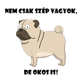 Nem csak szép vagyok-Női V-nyakú póló