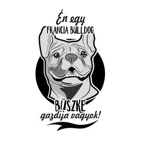 én egy francia bulldog büszke gazdija vagyok!-Női V-nyakú póló