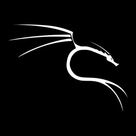 Kali linux-Női V-nyakú póló