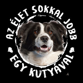 Border Collie-Női hosszú ujjú póló