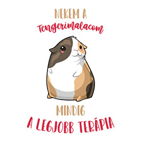 Legjobb terápia - Tengerimalac-Női hosszú ujjú póló