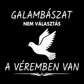 A galambászat a véremben van-Női hosszú ujjú póló