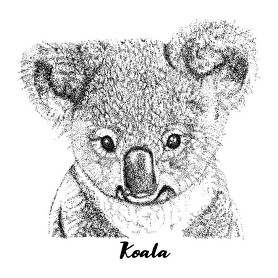 Koala-Gyerek póló