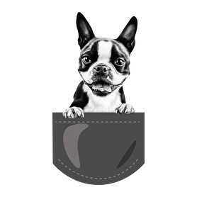 Boston Terrier - zseb-Párnahuzat, Díszpárnahuzat