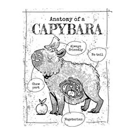 Capybara anatómia-Párnahuzat, Díszpárnahuzat