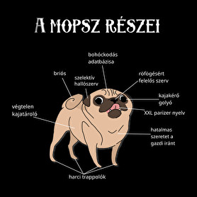 A mopsz részei-Párnahuzat, Díszpárnahuzat