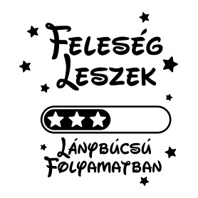 Feleség leszek Lánybúcsú folyamatban-Párnahuzat, Díszpárnahuzat