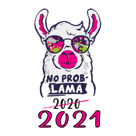 Láma - no problama. 2021-Párnahuzat, Díszpárnahuzat