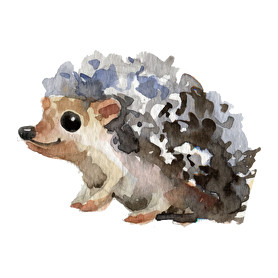 Watercolor Hedgehog-Párnahuzat, Díszpárnahuzat