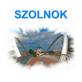 Szolnok-Párnahuzat, Díszpárnahuzat