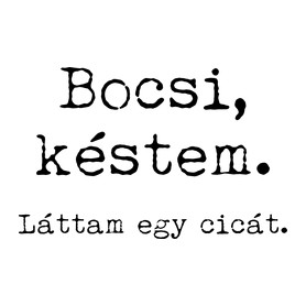 Bocsi, késtem-Párnahuzat, Díszpárnahuzat