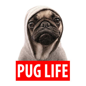 Pug Life-Párnahuzat, Díszpárnahuzat