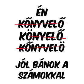 Jól bánok a számokkal-Párnahuzat, Díszpárnahuzat