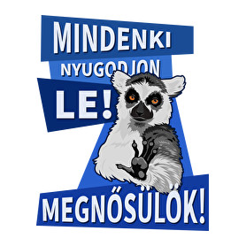 Mindenki nyugodjon le megnősülök-Párnahuzat, Díszpárnahuzat