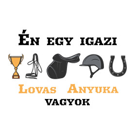 Egy igazi lovas anyuka-Párnahuzat, Díszpárnahuzat