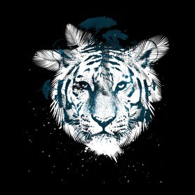 White tiger-Bögre