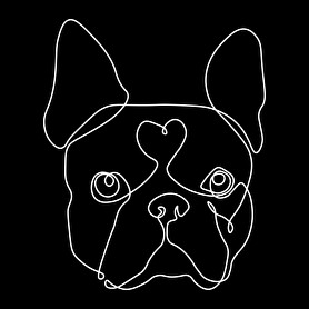 Vonalas Boston terrier-Szájmaszk