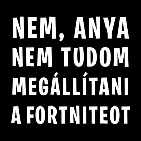 Nem tudom megállítani a Fortniteot-Szájmaszk