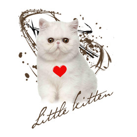 little kitten-Kitűző, hűtőmágnes