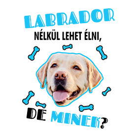 Labrador nélkül lehet élni, de minek?-Vászonkép