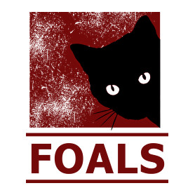 FOALS BLACK CAT-Vászonkép