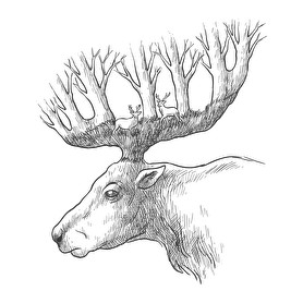 Deer drawing-Vászonkép