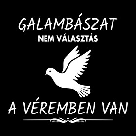 A galambászat a véremben van-Vászonkép