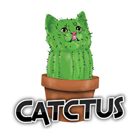 Catctus-Vászonkép