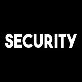 SECURITY-Vászonkép