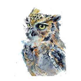 Painted Owl-Vászonkép