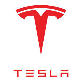 Tesla-Vászonkép