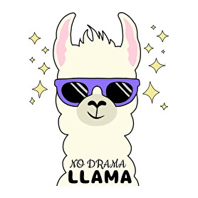 no drama llama-Vászonkép