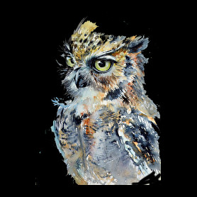 Painted Owl-Oversized póló