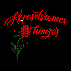 keresztszemes hímzés-Oversized póló