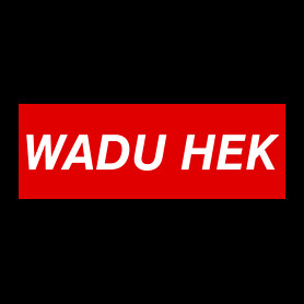 PUBG - WADU HEK-Oversized póló