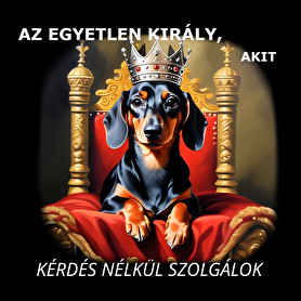 AZ EGYETLEN KIRÁLY-Oversized póló