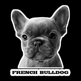 french bulldog-Oversized kapucnis pulóver